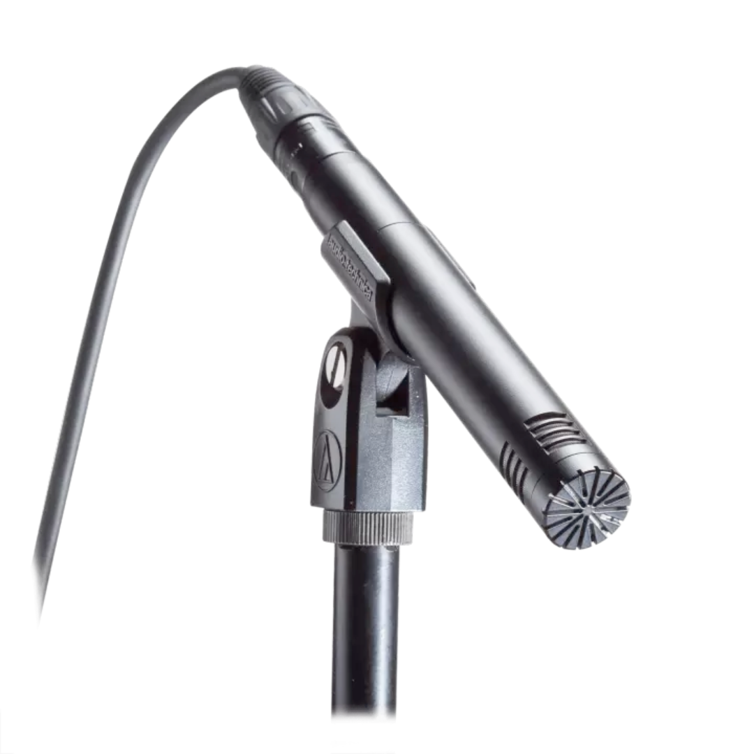 Audio-Technica - AT2031 Cardioid Condenser End Address Microphone