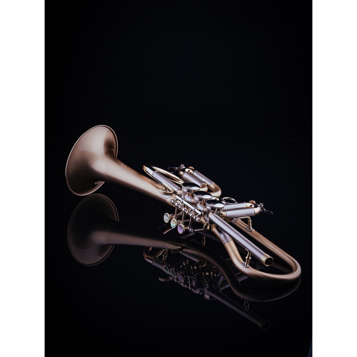 Schagerl - Meisterinstrumente - Gansch Horn Rotary Bb Trumpets-Trumpet-Schagerl-Music Elements