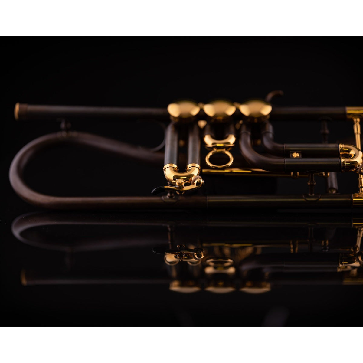 Schagerl - Meisterinstrumente - Gansch Horn Rotary Bb Trumpets-Trumpet-Schagerl-Music Elements