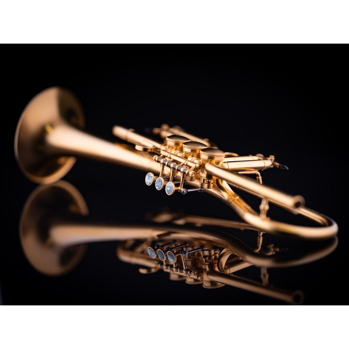 Schagerl - Meisterinstrumente - Gansch Horn Rotary Bb Trumpets-Trumpet-Schagerl-Music Elements