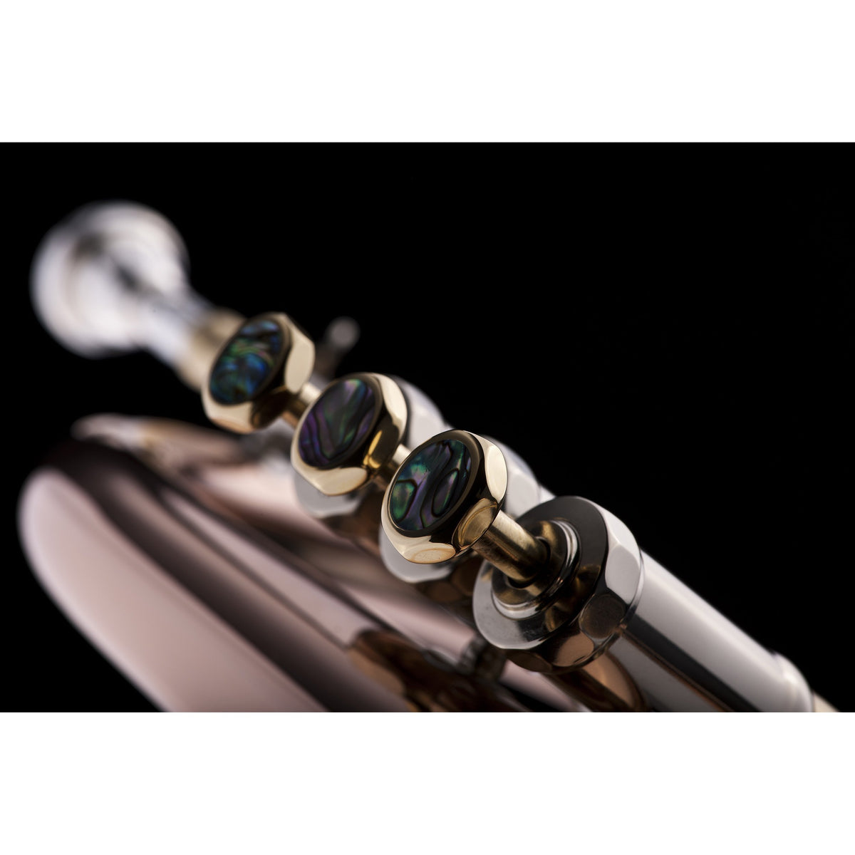 Schagerl - Meisterinstrumente - James Morrison Flugelhorns-Flugelhorn-Schagerl-Music Elements