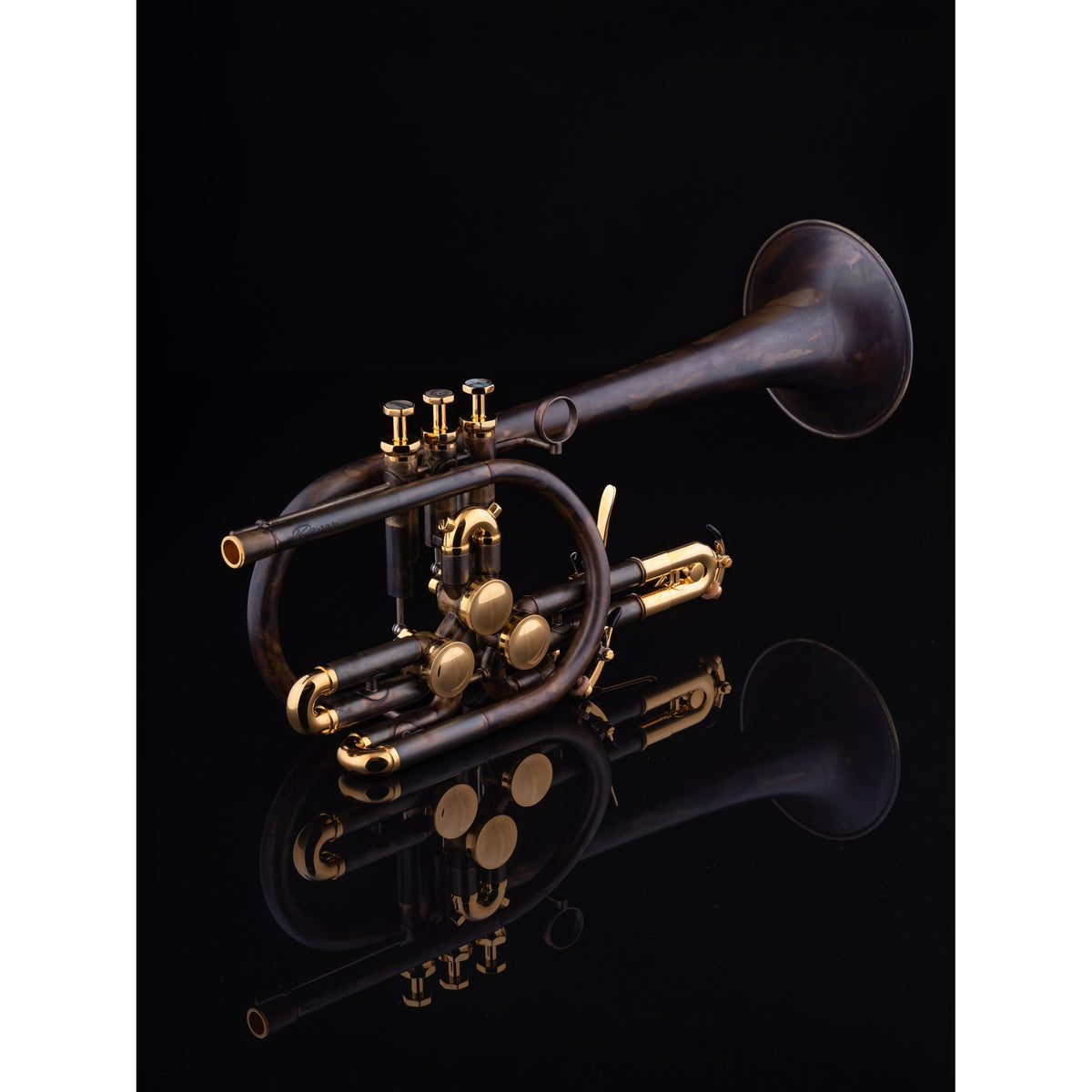 Schagerl - Meisterinstrumente - Raweni Rotary Bb Trumpets-Trumpet-Schagerl-Music Elements