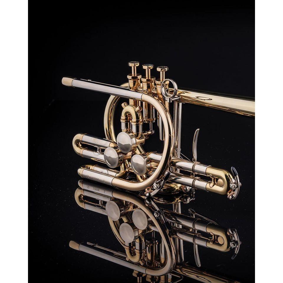 Schagerl - Meisterinstrumente - Raweni Rotary Bb Trumpets-Trumpet-Schagerl-Music Elements