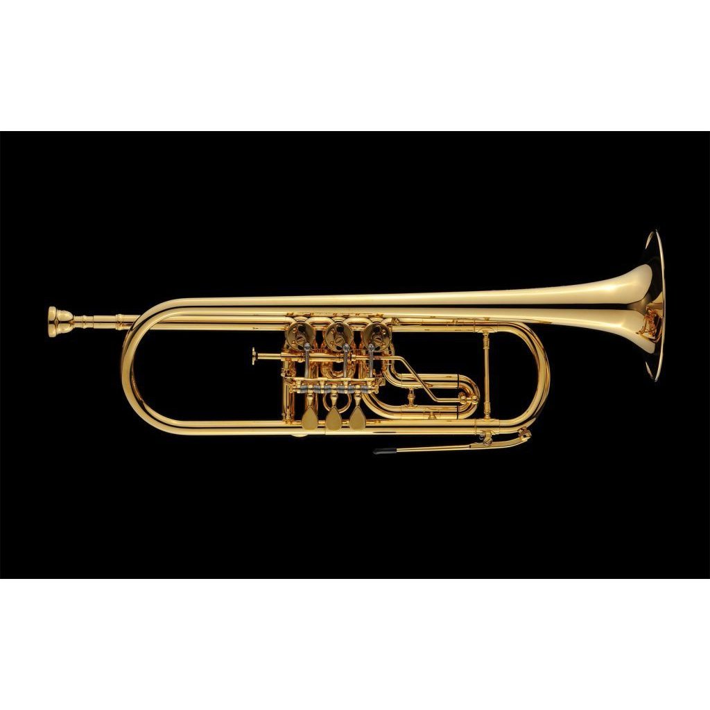 Schagerl - Meisterinstrumente - Wien Rotary Bb Trumpets-Trumpet-Schagerl-Music Elements