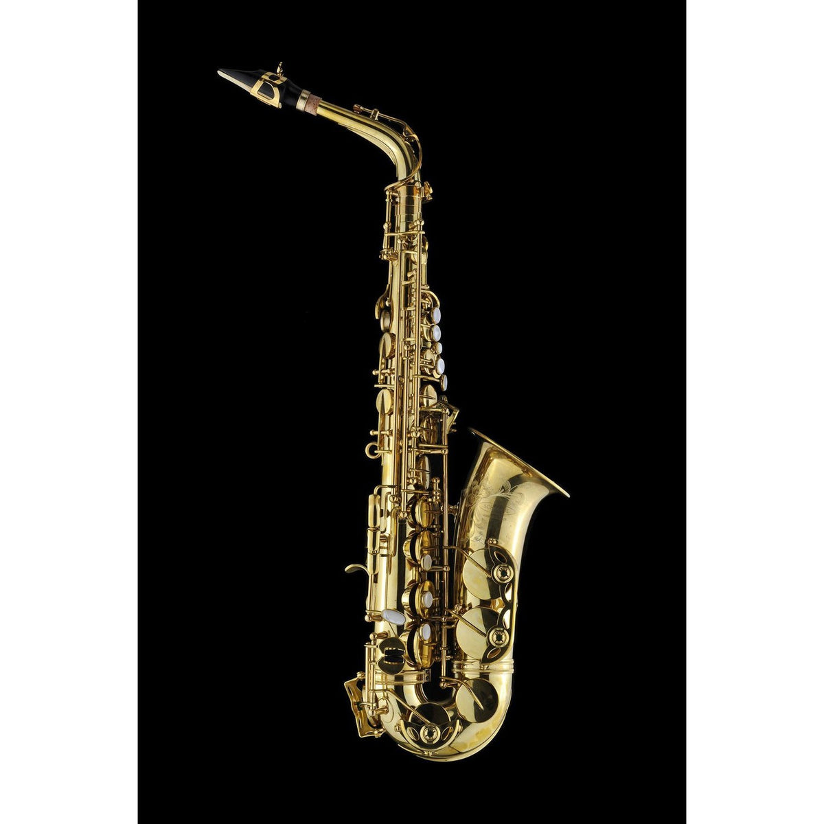 Schagerl - Model 66 Alto Saxophones-Saxophone-Schagerl-Non Lacquered-With-Music Elements