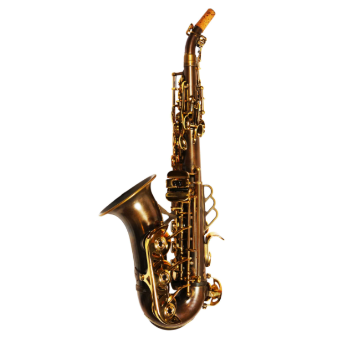 Theo Wanne - MANTRA 2 Curved Soprano Saxophone (Vintified w/ Gold Lacquer Keys)