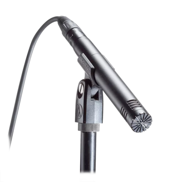 Audio-Technica - AT2031 Cardioid Condenser End Address Microphone ...