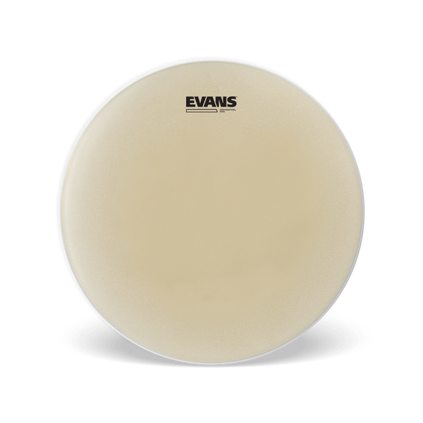 Evans Orchestral 300 14" Snare Side Drum Head Music Elements