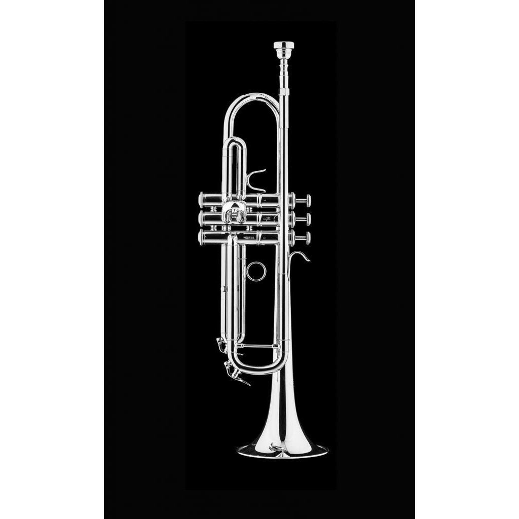 Schagerl - Academica Series - TR-420S Bb Trumpet-Trumpet-Schagerl-Music Elements