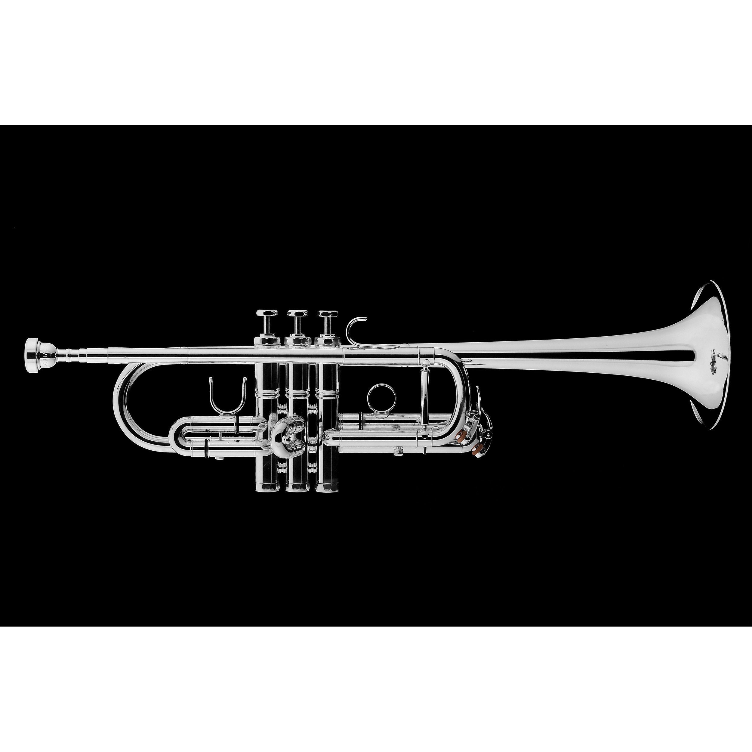 Schagerl - Meisterinstrumente - Charis C Trumpet (Gold Plated 