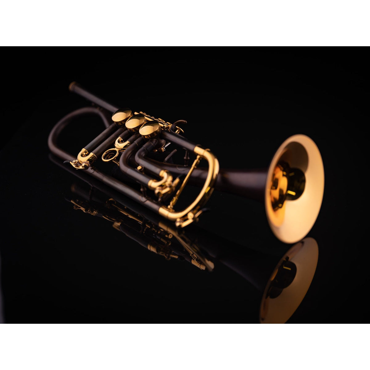 Schagerl - Meisterinstrumente - Gansch Horn Rotary Bb Trumpets-Trumpet-Schagerl-Music Elements