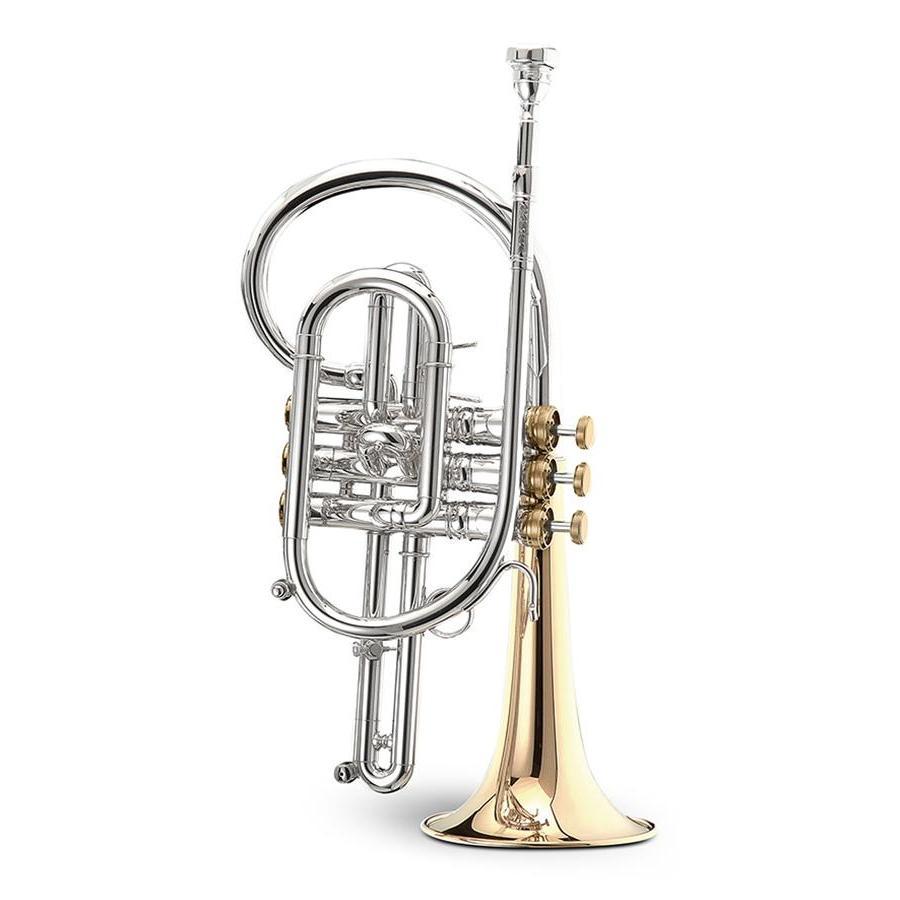 Stomvi - Master Bb Cornets-Cornet-Stomvi-Music Elements